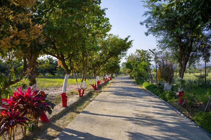 Farm Naturelle | Pet-friendly 3-BHK Farmhouse Near Jim Corbett With Garden, Terrace & Orchards  – photo 15