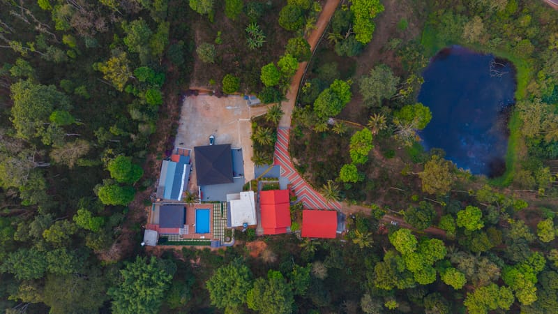 Twisted Tree | 1-Room Suite Pet-Friendly Suite with Shared Pool, Bar & Restaurant – photo 6