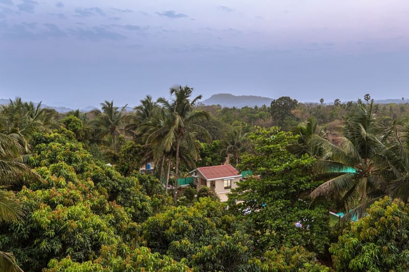 Serene Retreat (Suites) - Alibaug, Maharashtra – photo 18