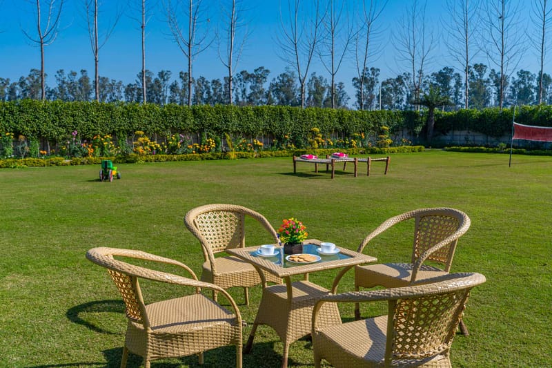 Colour Bloom - Karnal – photo 22