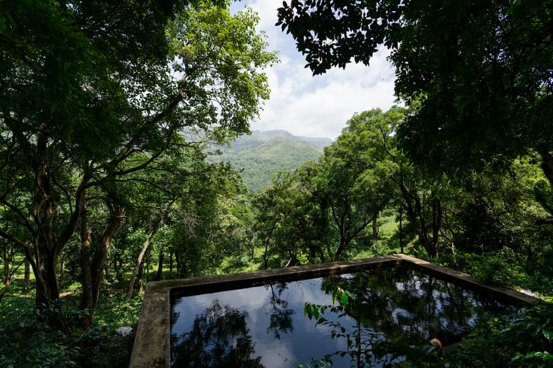 Nandanvan Estate - Coffee Estate Near Kodaikanal, Tamil Nadu – photo 36