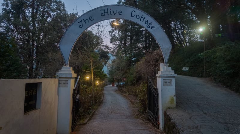 The Hive Cottage Hideout | 1 Room in a Hillside Resort With Restaurant, & Outdoor Seating | Ample Parking – photo 21