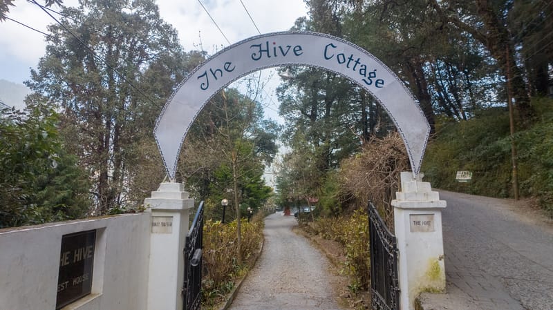 The Hive Cottage Magnolia Room | Hillside Resort With Restaurant, & Outdoor Seating | Ample Parking – photo 27