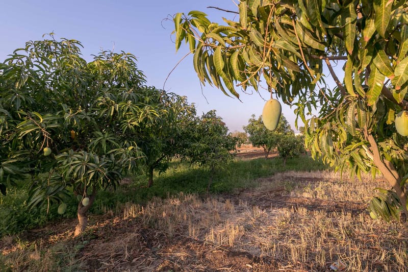 Casa Del Verde – photo 35