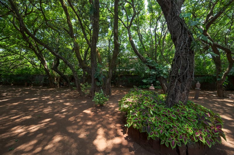 Ektara Cottage – photo 18