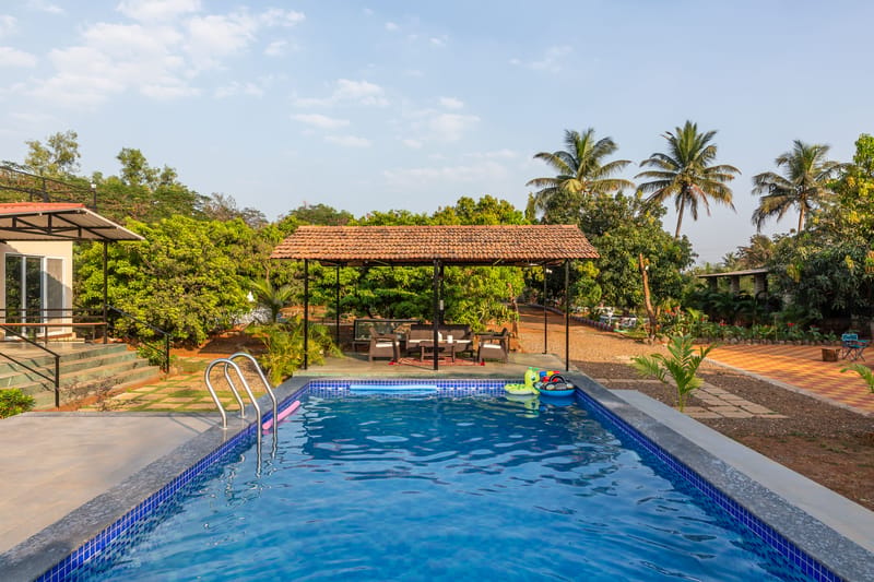 Apricus Farm - Karjat, Maharashtra – photo 4
