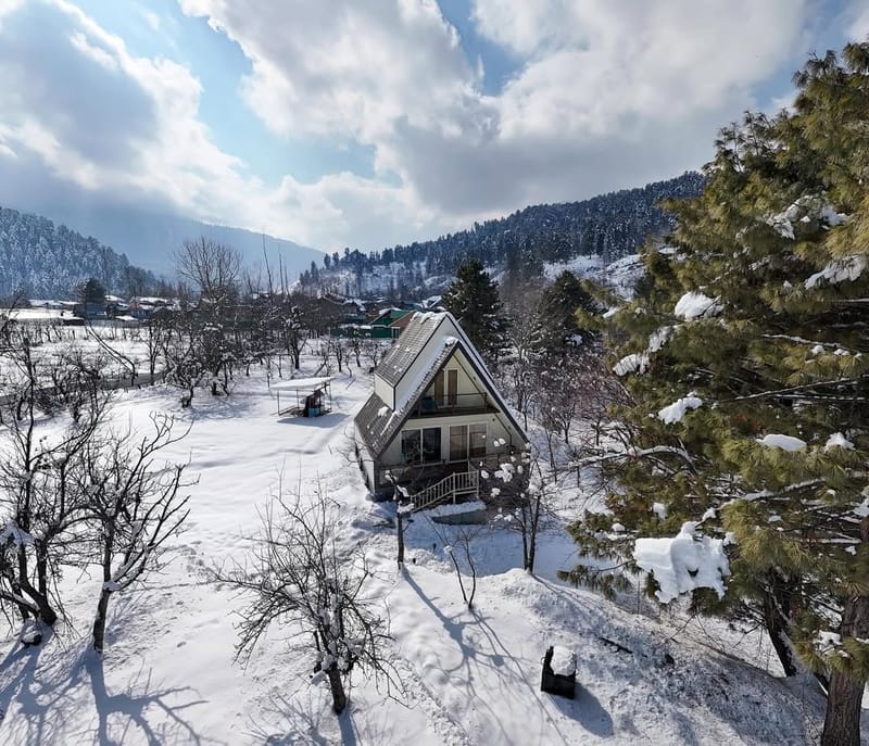 Cheese Cottage Estate ~ Olive Chalet – photo 1