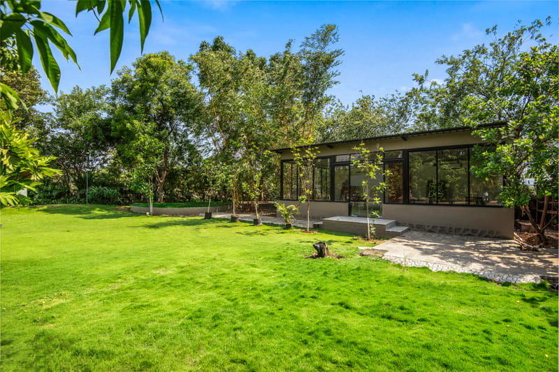 The Crescent Palm Fern | Boutique Cottage With Shared Game Room, Garden and Restaurant – photo 9