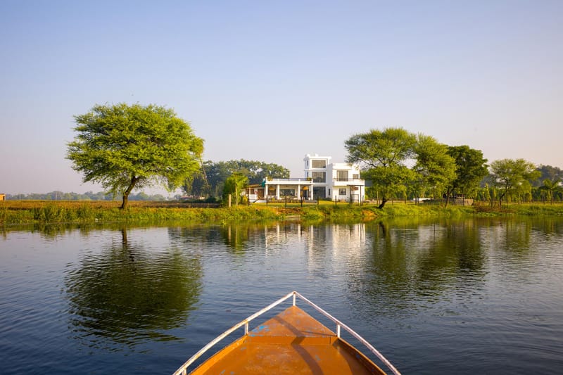 Lotus by the lake – photo 31