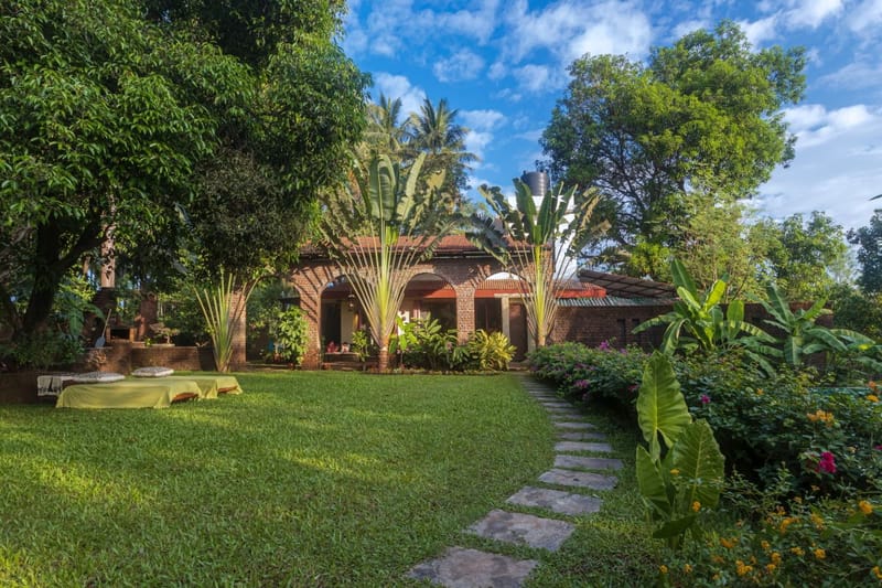 Ambe Moha – photo 12