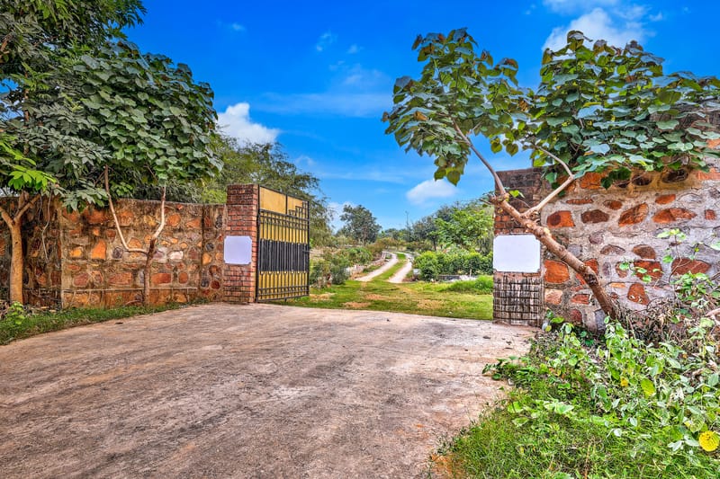 Aravale Farm | Pet-friendly 4-BHK Farmhouse With Private Pool, 2-Acre Lush Garden & Aravali Views – photo 50