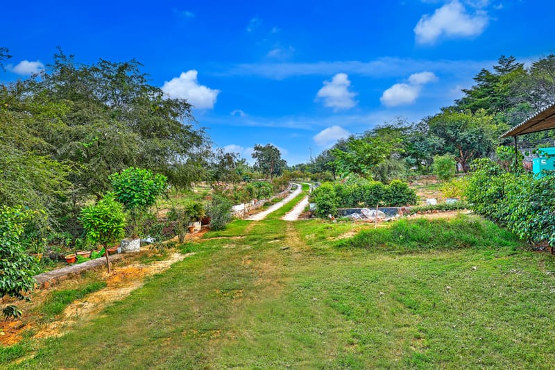 Aravale Farm | Pet-friendly 4-BHK Farmhouse With Private Pool, 2-Acre Lush Garden & Aravali Views – photo 49