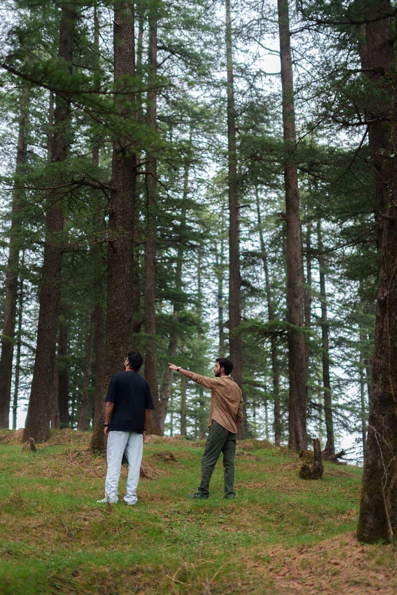 Summit @ The Mohru Estate - Chail w/ Heated Pool – photo 20