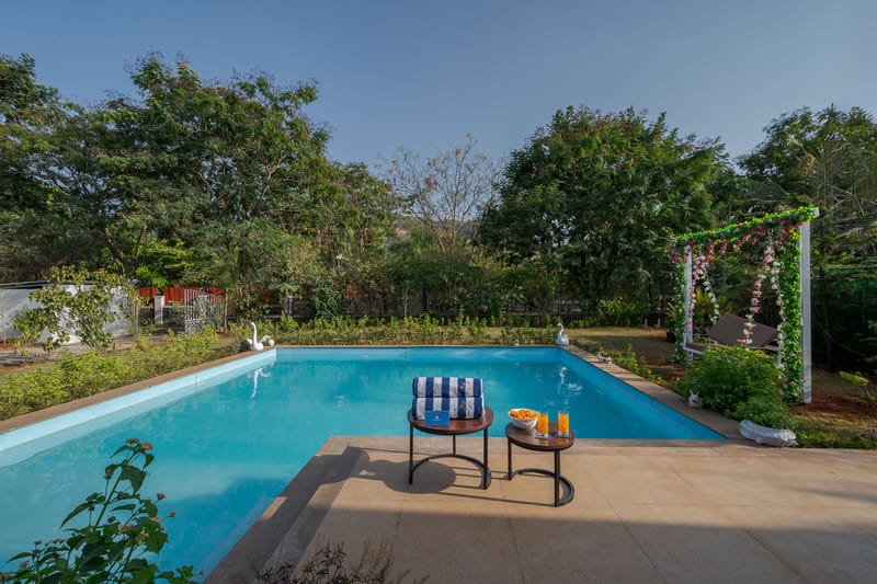 Roselle - Lonavala, Maharashtra – photo 6