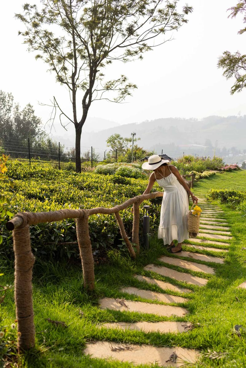 The Hydrangeas - Coonoor – photo 17