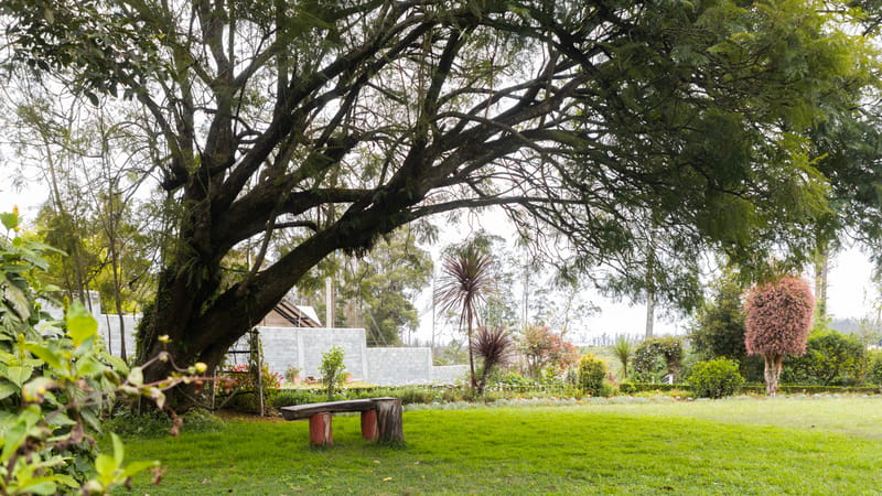 Milton Abbott Estate (Heritage Room) - Ooty, Tamil Nadu – photo 6