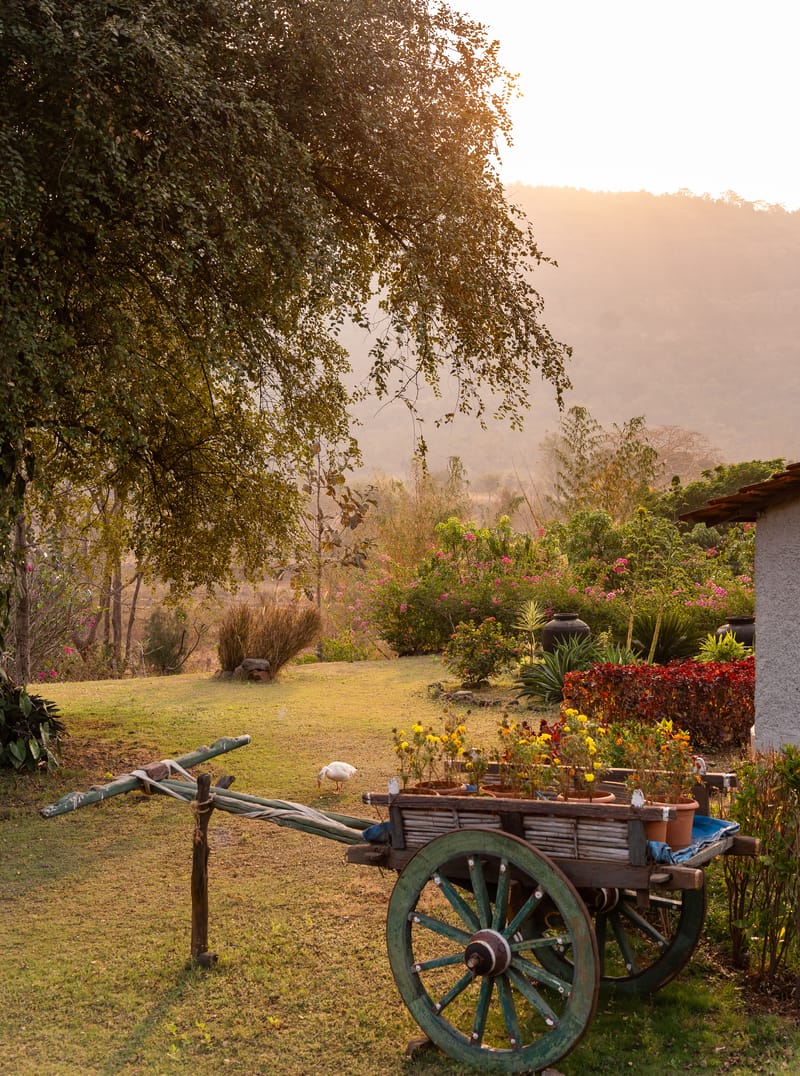 SanvinaFarm - Karjat – photo 42
