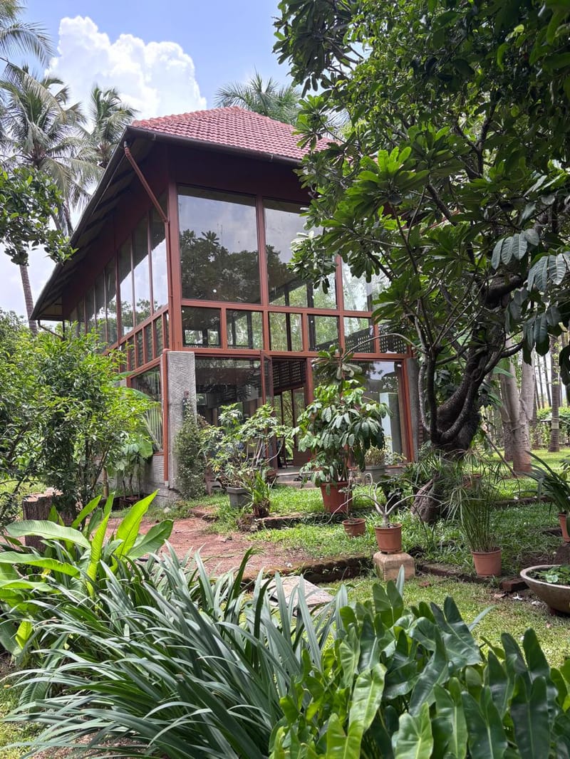 Ambe Moha – photo 7