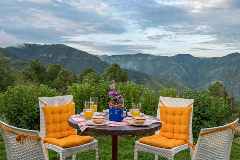 Sunshine Estate - Chail – photo 3