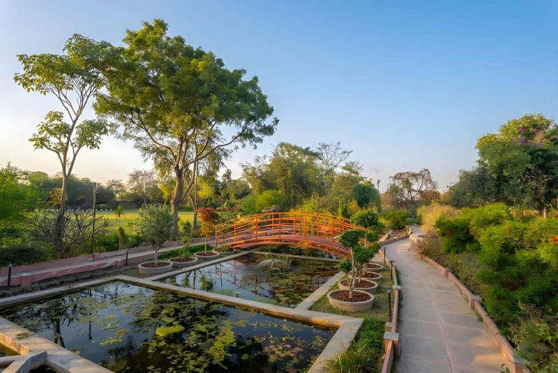 Verdant Acres – photo 10
