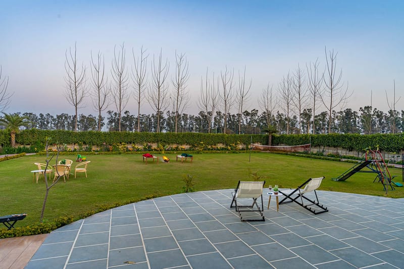 Colour Bloom - Karnal – photo 21