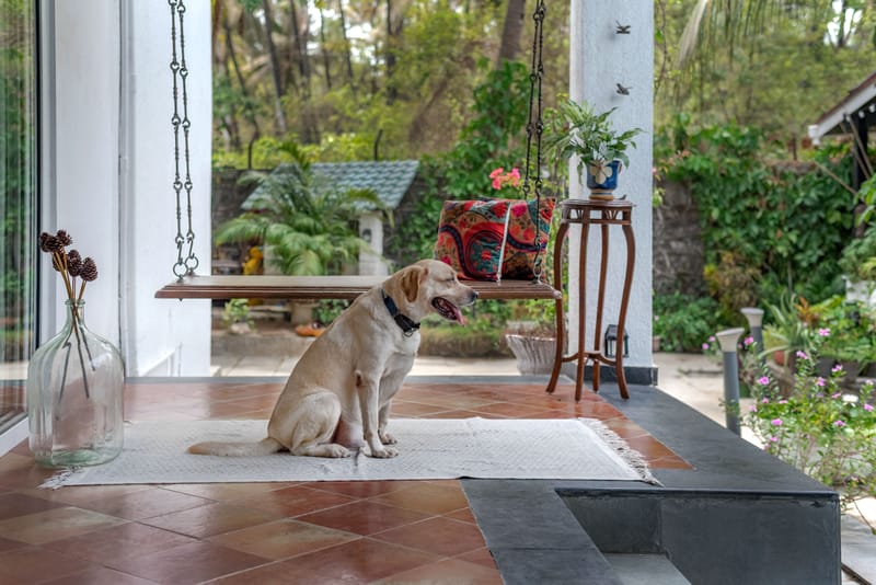 Osaree - Alibaug, Maharashtra – photo 32