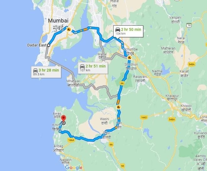 Elderflower - Alibaug, Maharashtra – photo 43