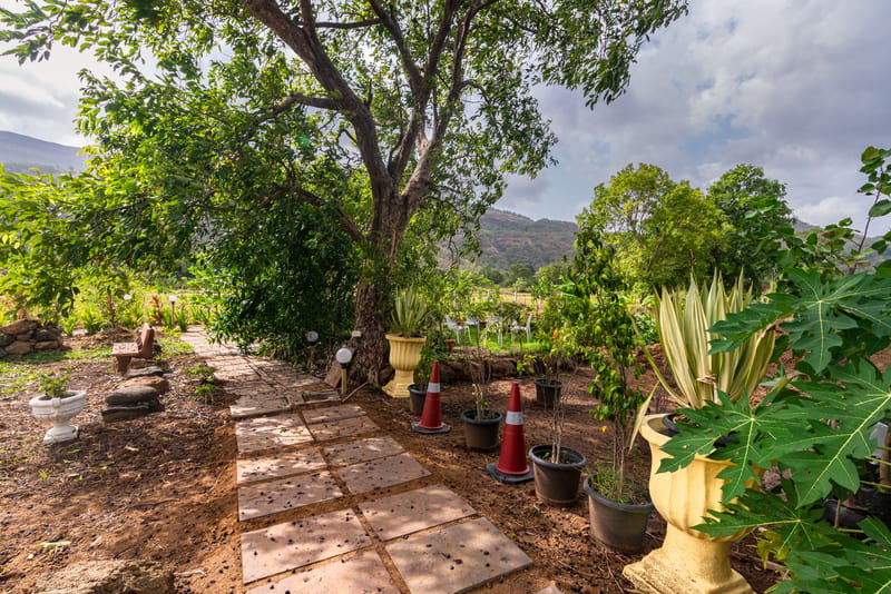 Vyom Farms - Karjat, Maharashtra – photo 27