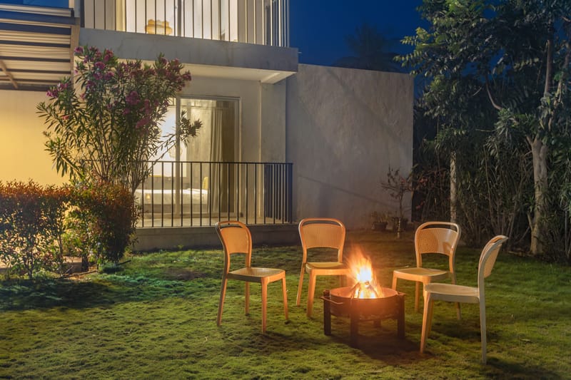 Palash – photo 8