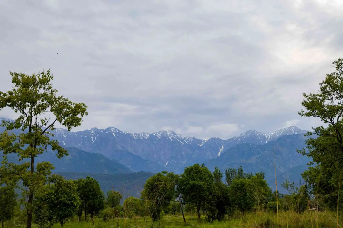 Esh Cottage Moss | Hilltop 2-BHK Retreat with Open-air Jacuzzi, Shared Garden, Pool & Cosy Lounge