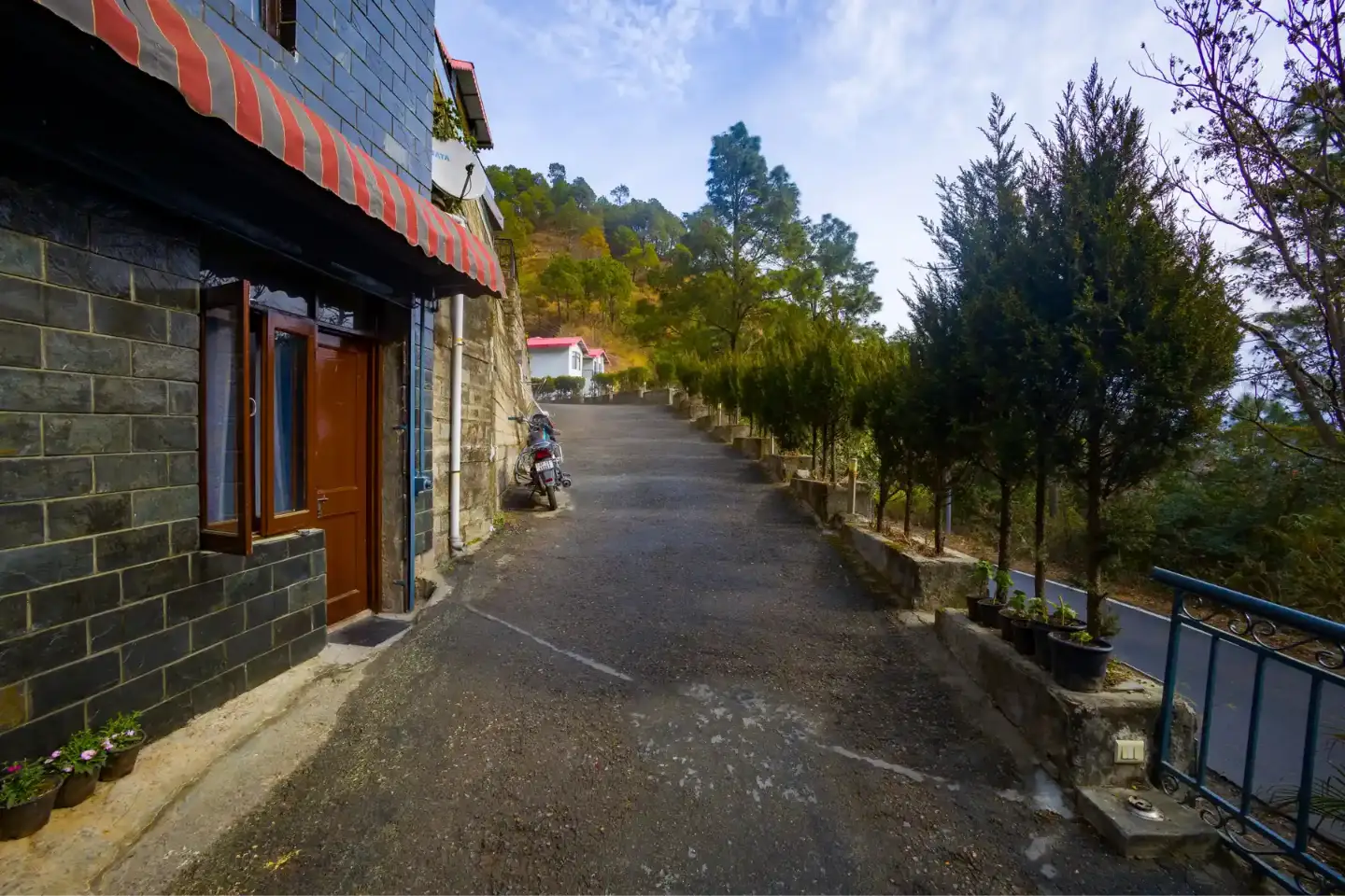 Kasauli Woods Cottage | Hillside 3-BHK Retreat With Outdoor Lounge, Balcony & Scenic Views