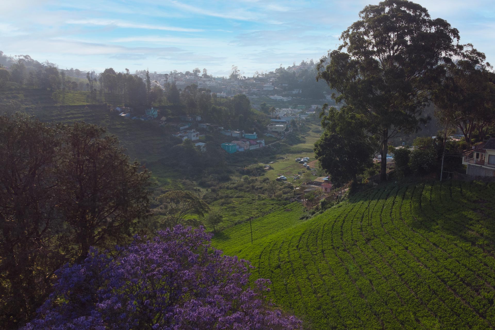 Colonial @ Wyncroft Bungalow - Kotagiri