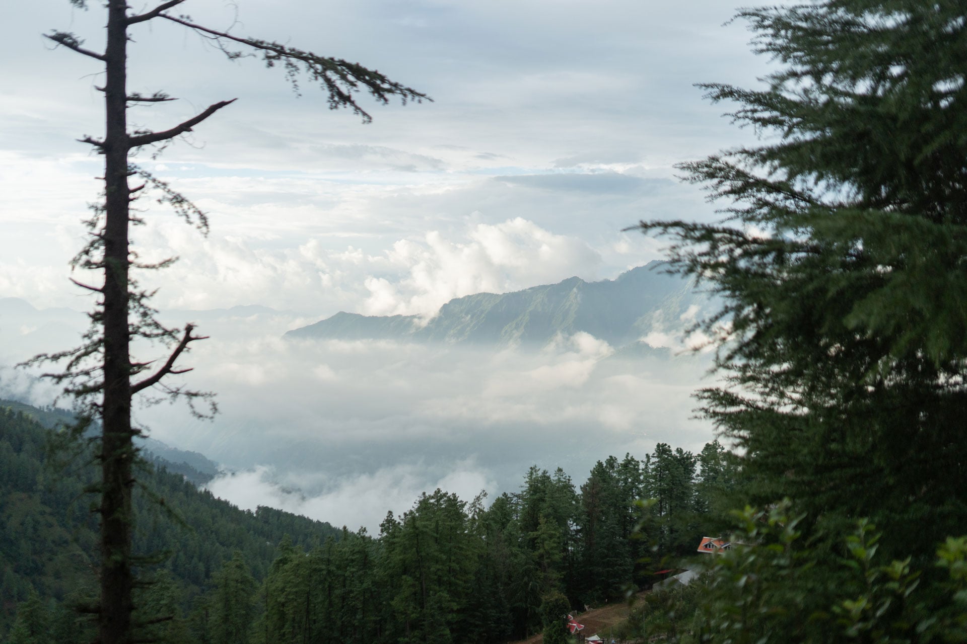 Wood House Retreat - Image 2