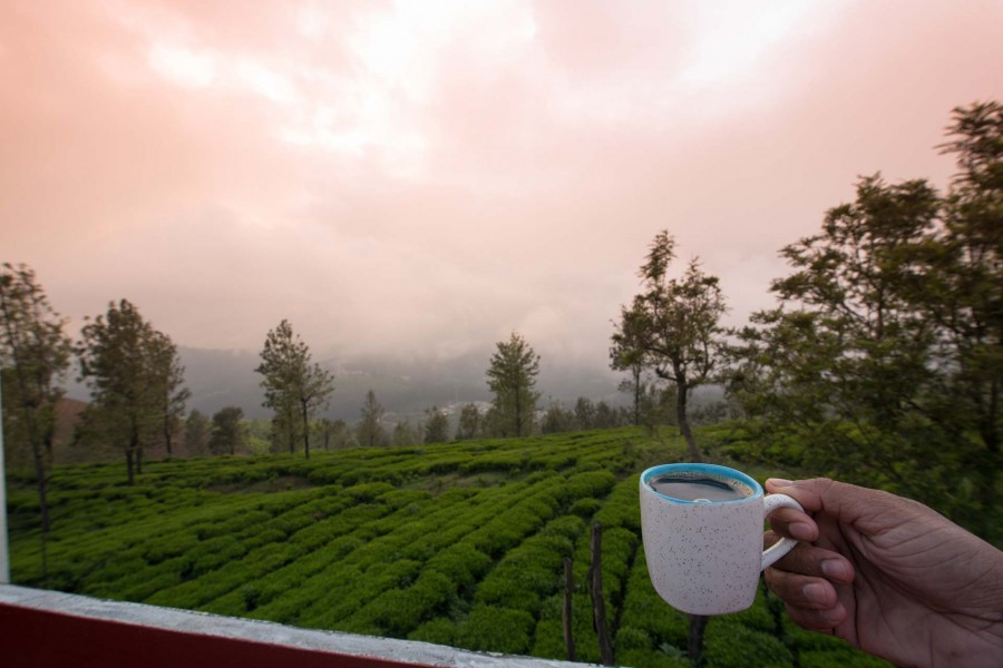 3 Rooms @ Villa Sullivan