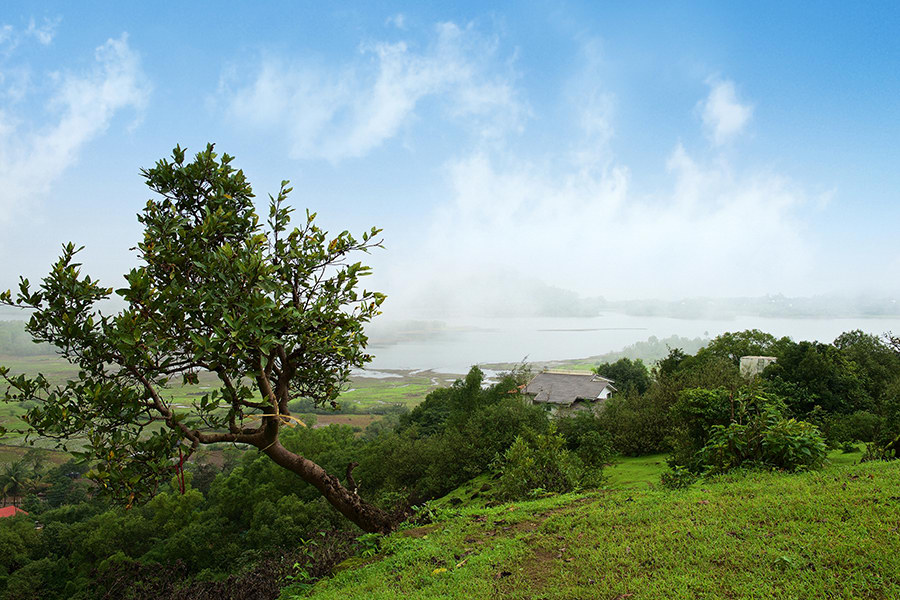 Bungalow 89 - Image 5