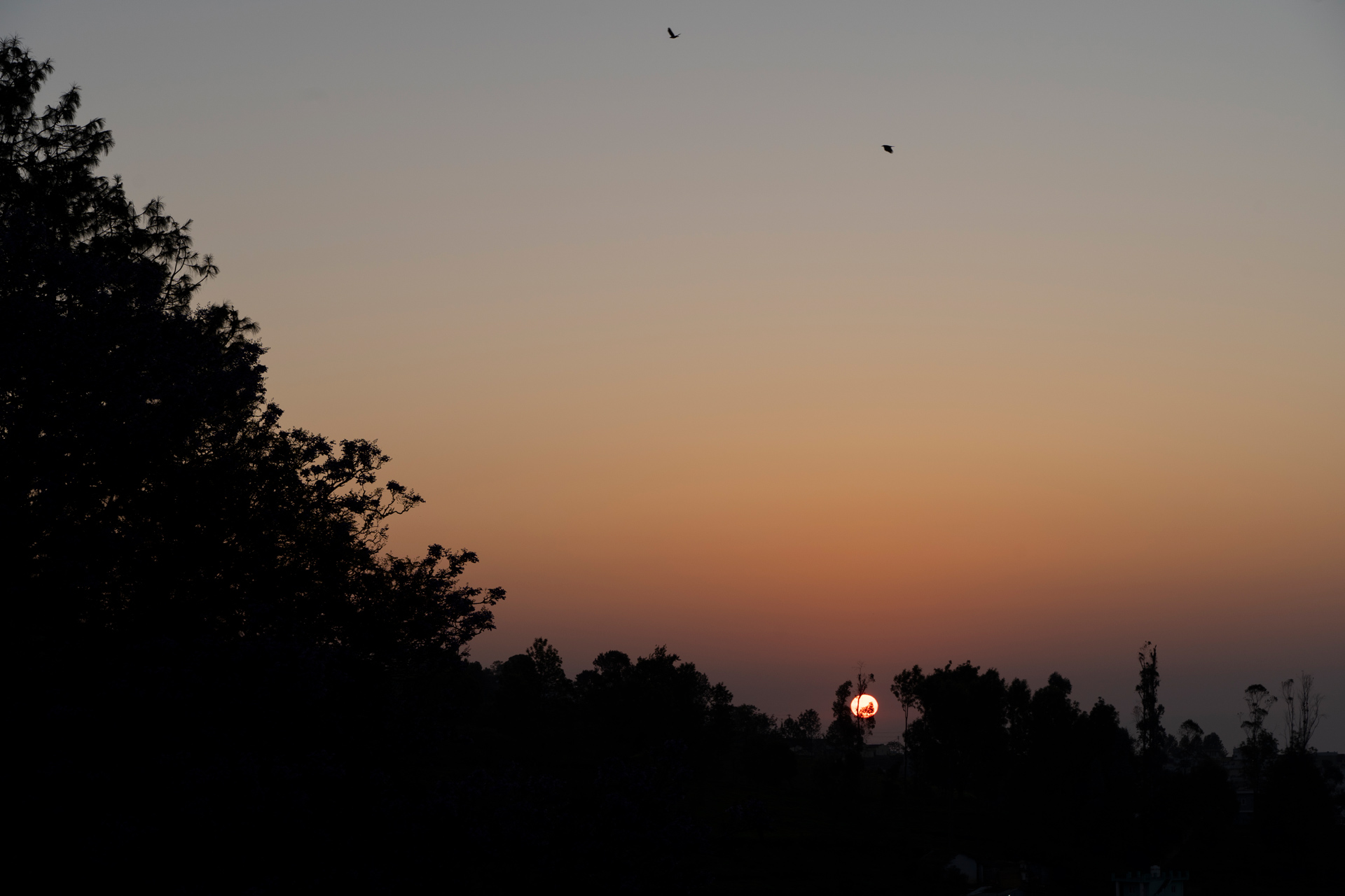 Wyncroft Bungalow - Kotagiri