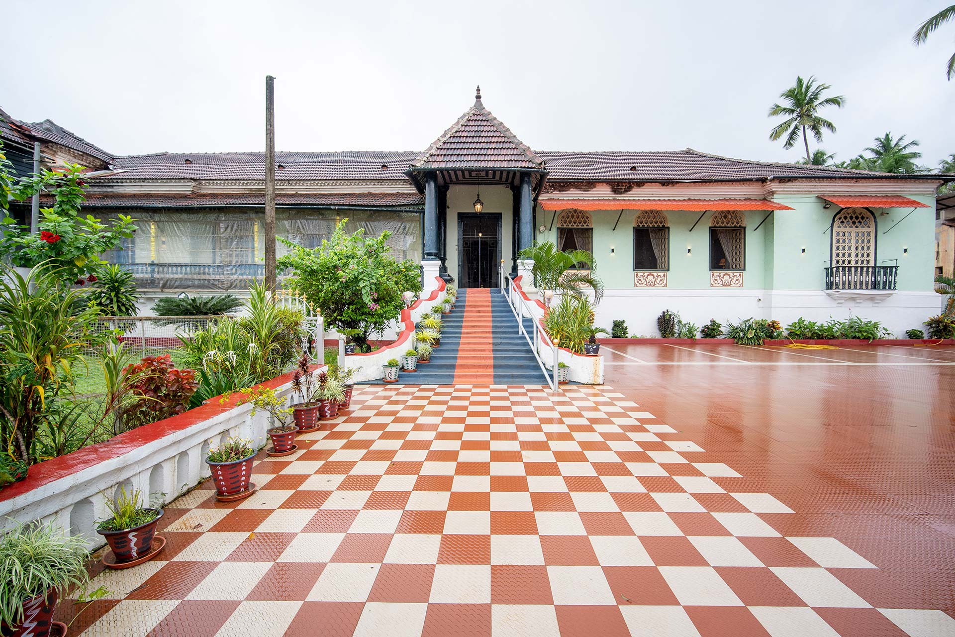 Zito @ The Figueiredo House