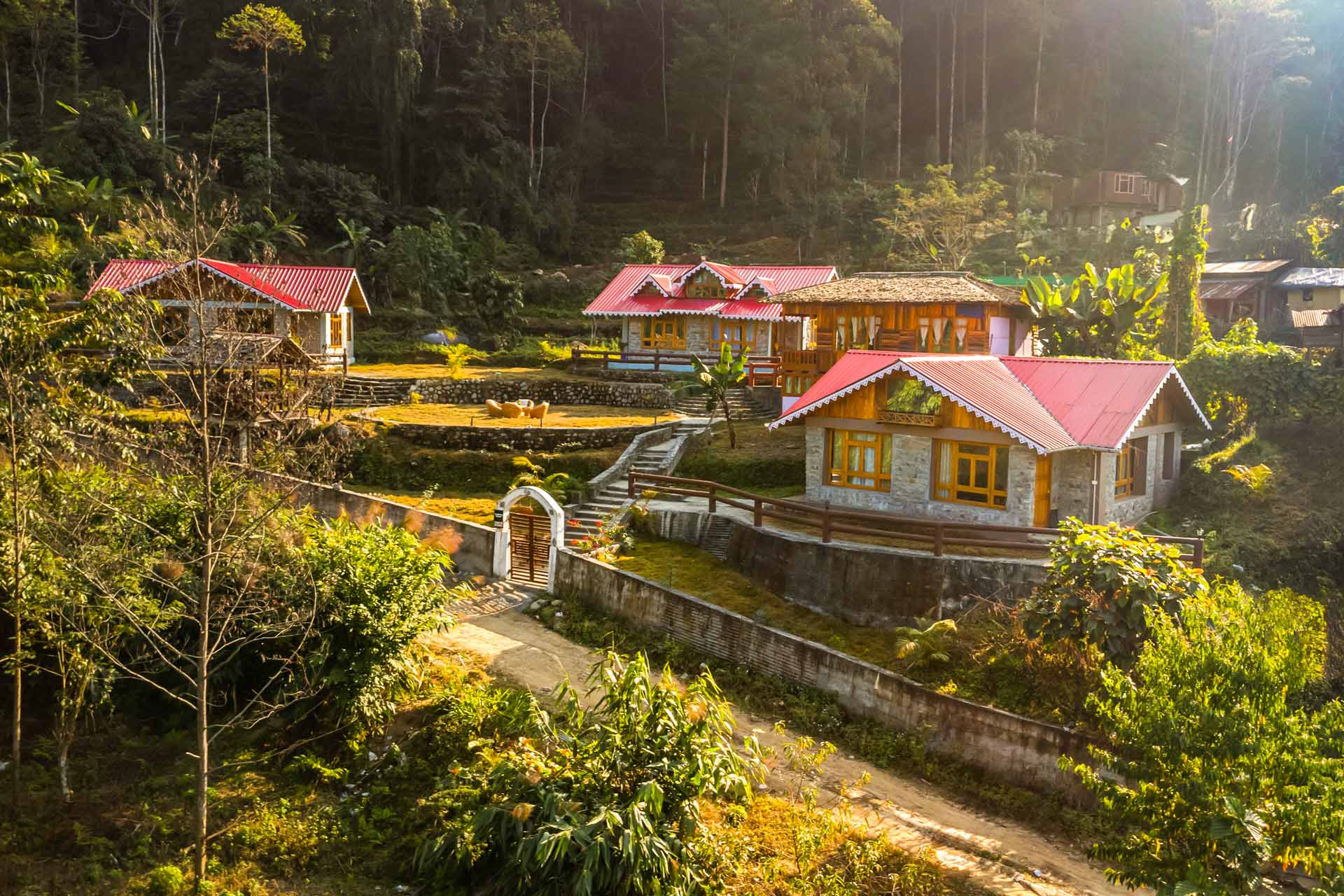 Tulip @ Nature’s Lap