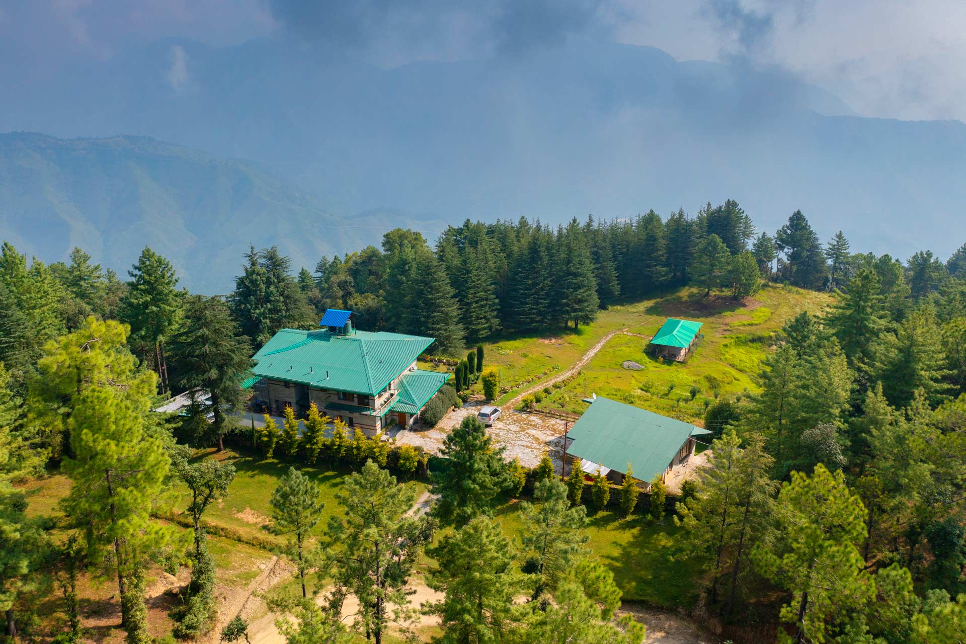 The Woods - Chail - Image 3