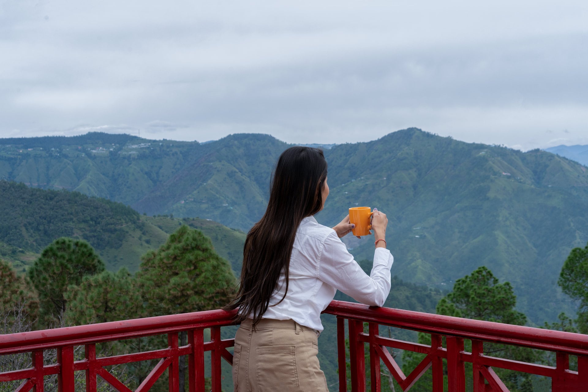 Sunshine Estate - Chail - Image 5