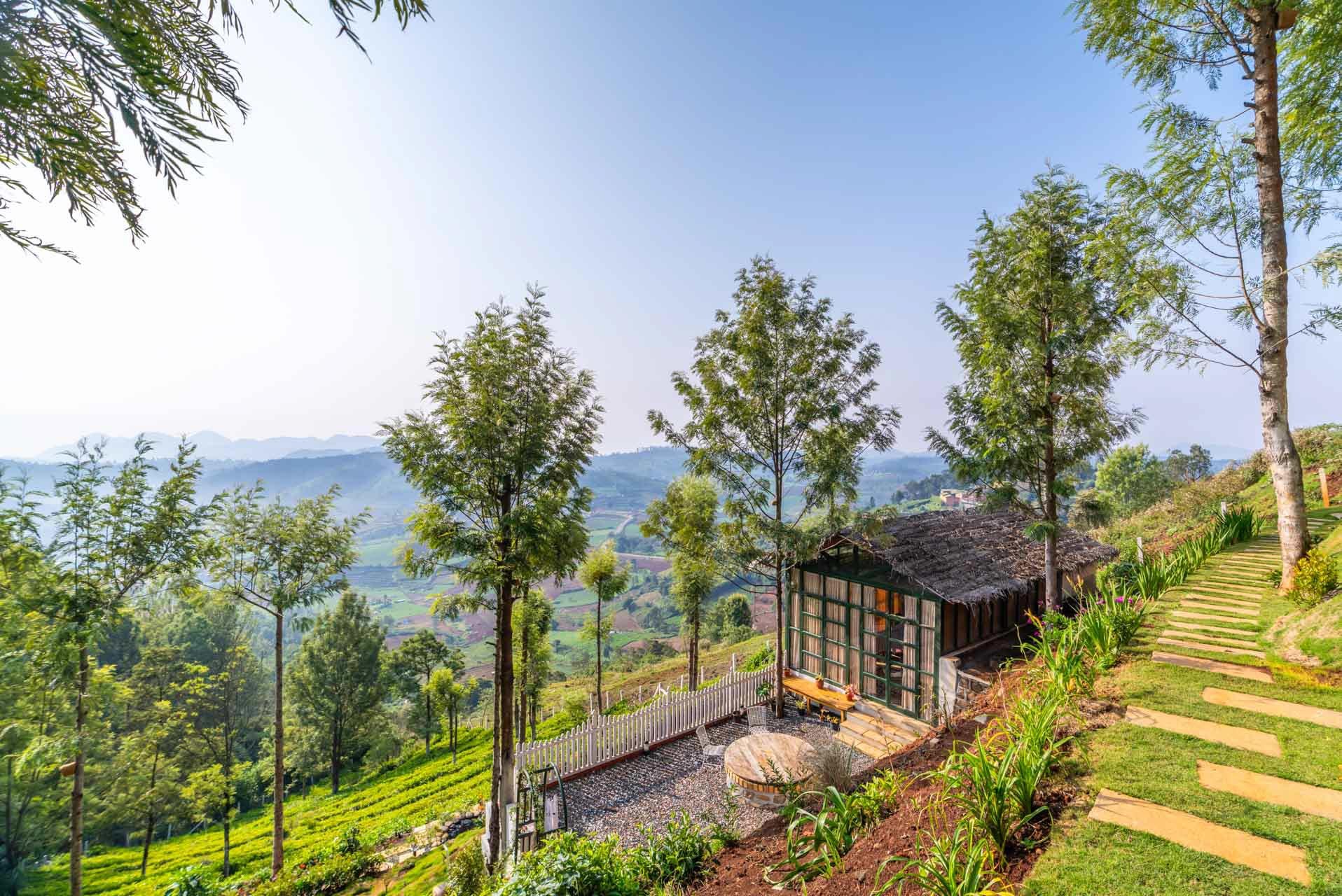 Glasshouse @ Under The Stars