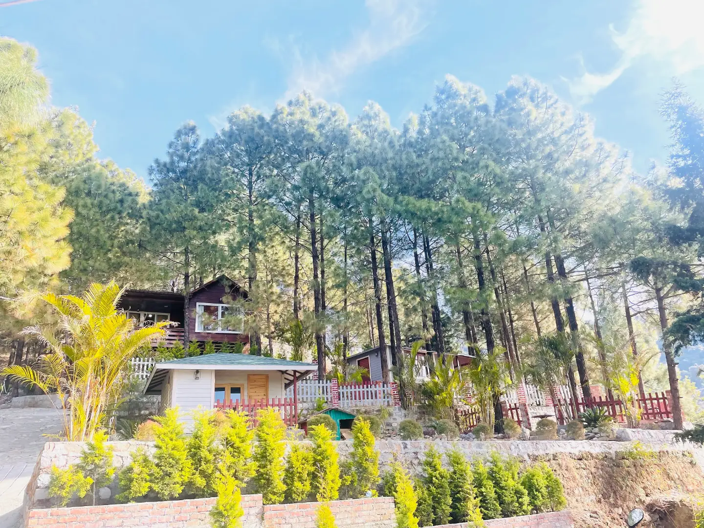 Srivasa - Tranquility Treehouse, Mussoorie