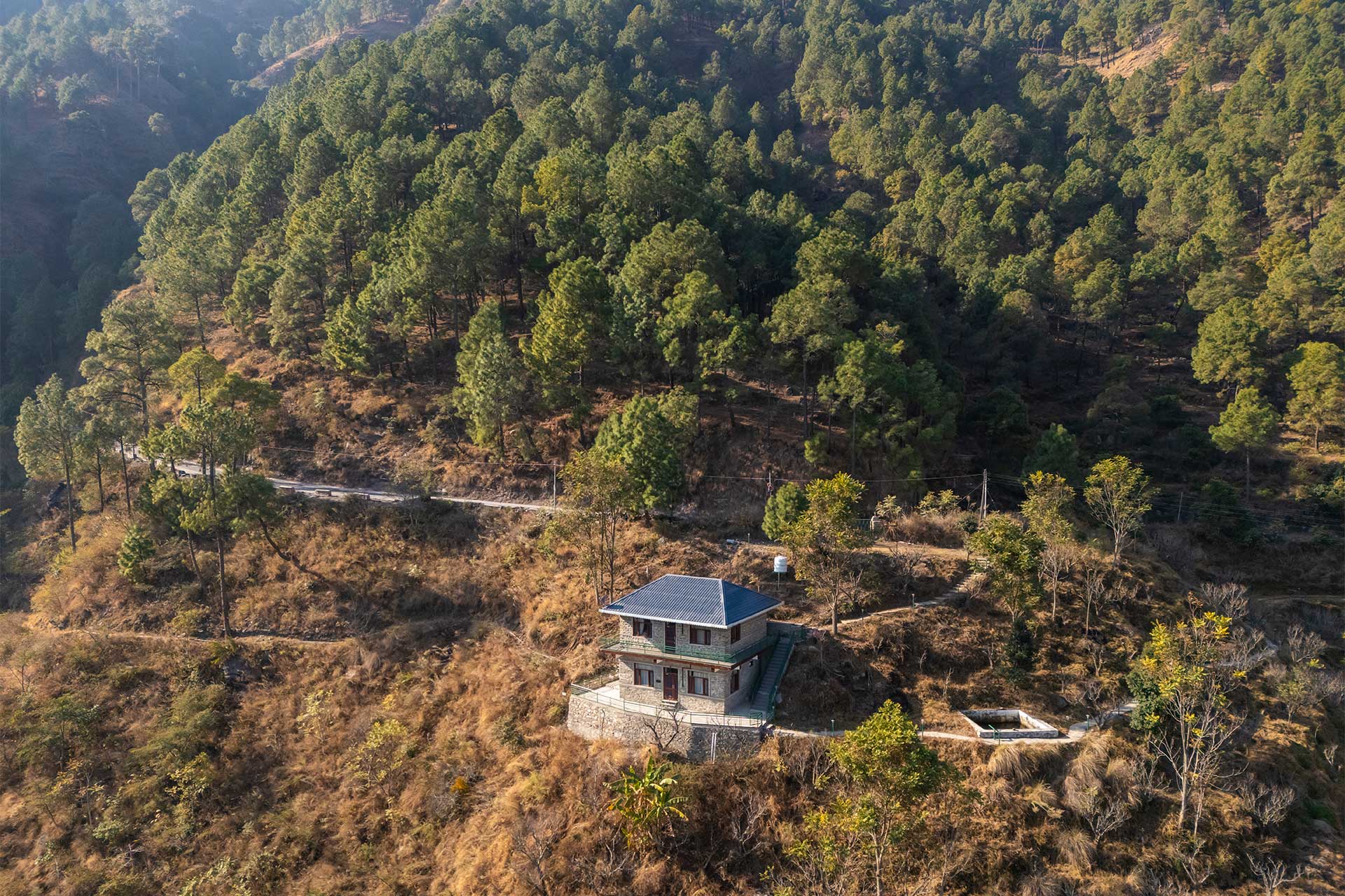 Modesto @ Juneo Orchards - Image 2