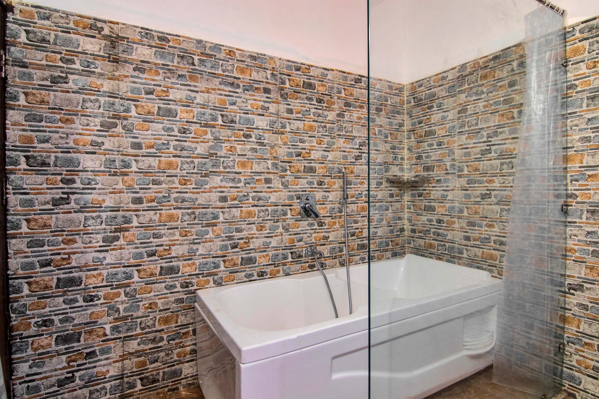 Wild @ Ranthambore Reverie