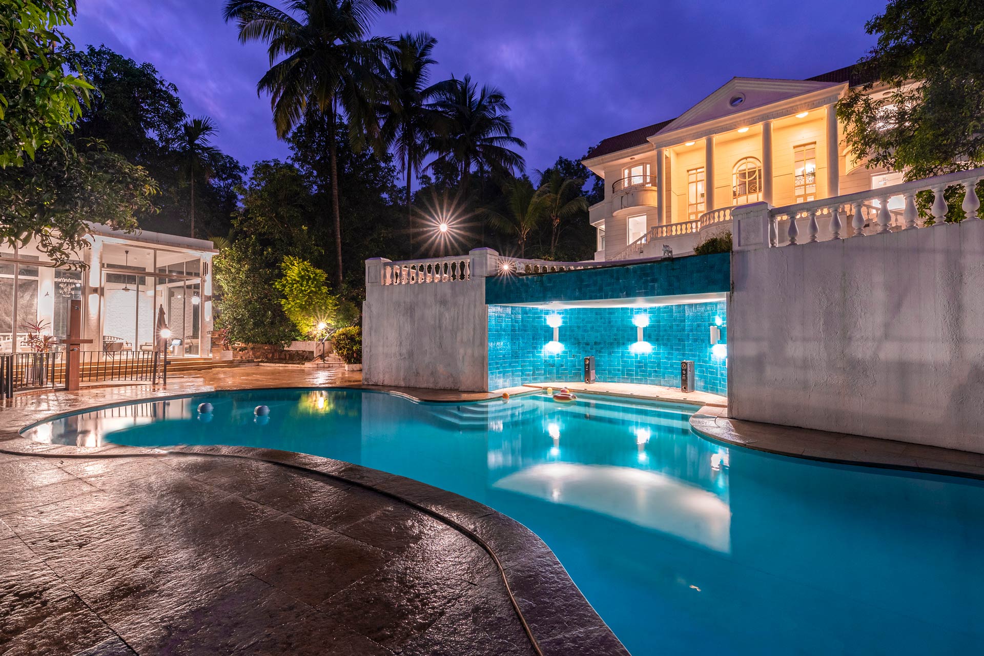 Ivory Crest - Image 3