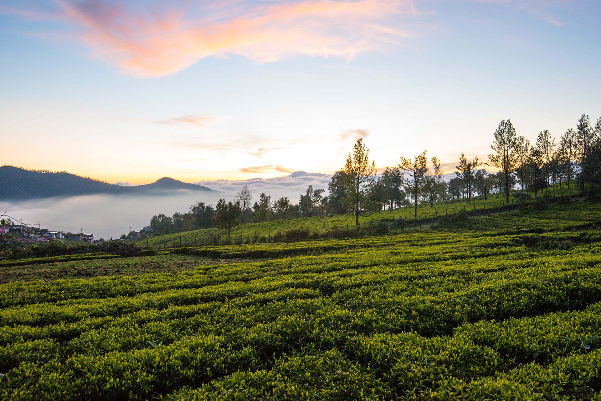 2 Rooms @ Villa Hugel - Image 5