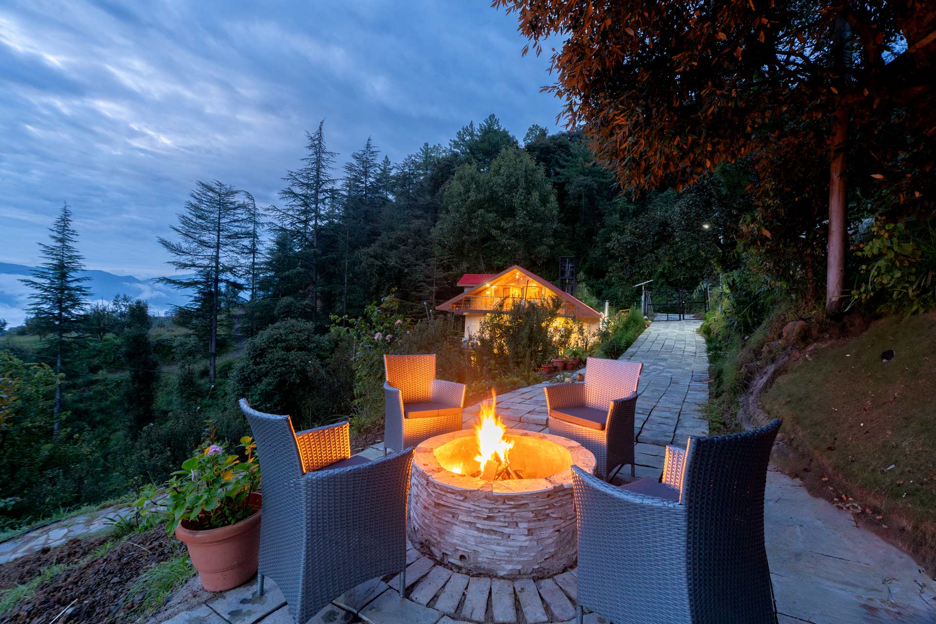 The Orchard Song - Image 3