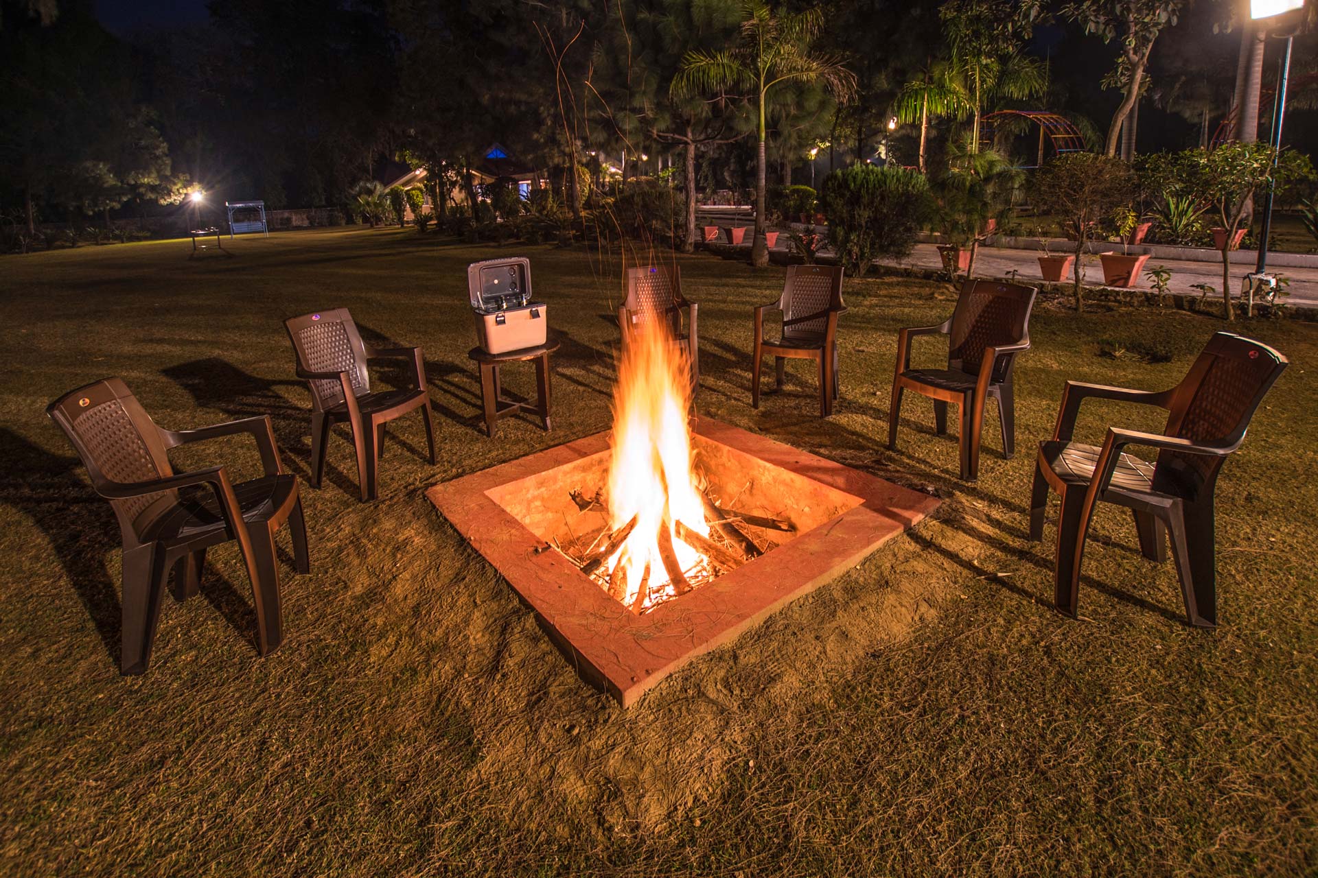 Solitude in the Woods - Sohna - Image 2