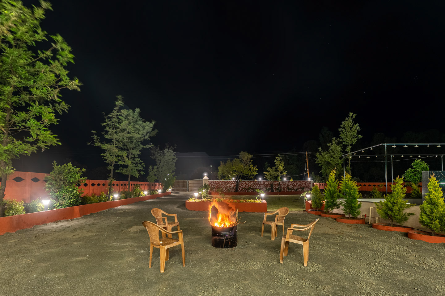 Golden Petal - Image 5