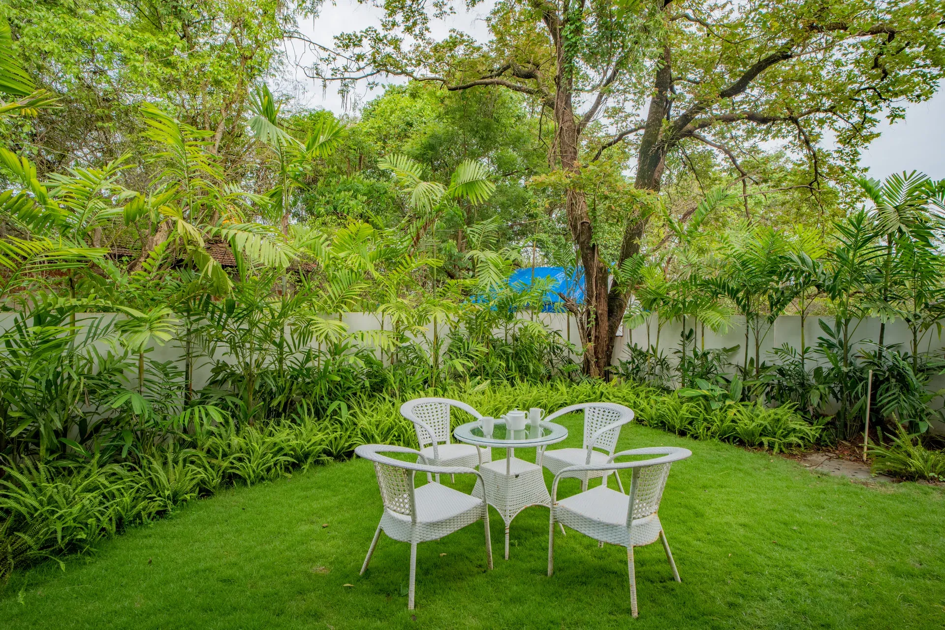 Laguna Echo | Serene Pet-friendly 3-BHK Retreat With Private Pool & Garden Near Anjuna Beach
